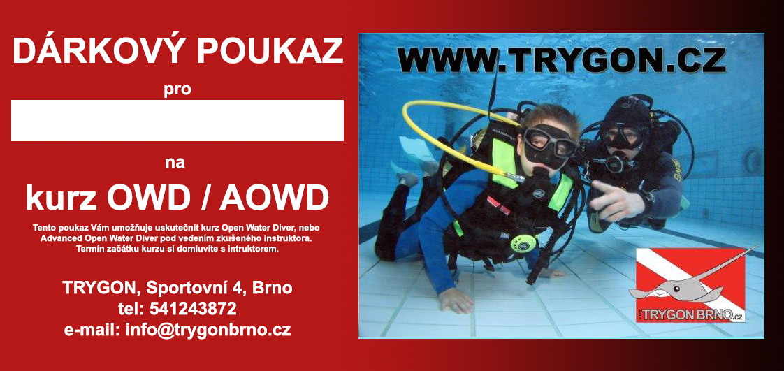 Dárkový poukaz na kurz potápění